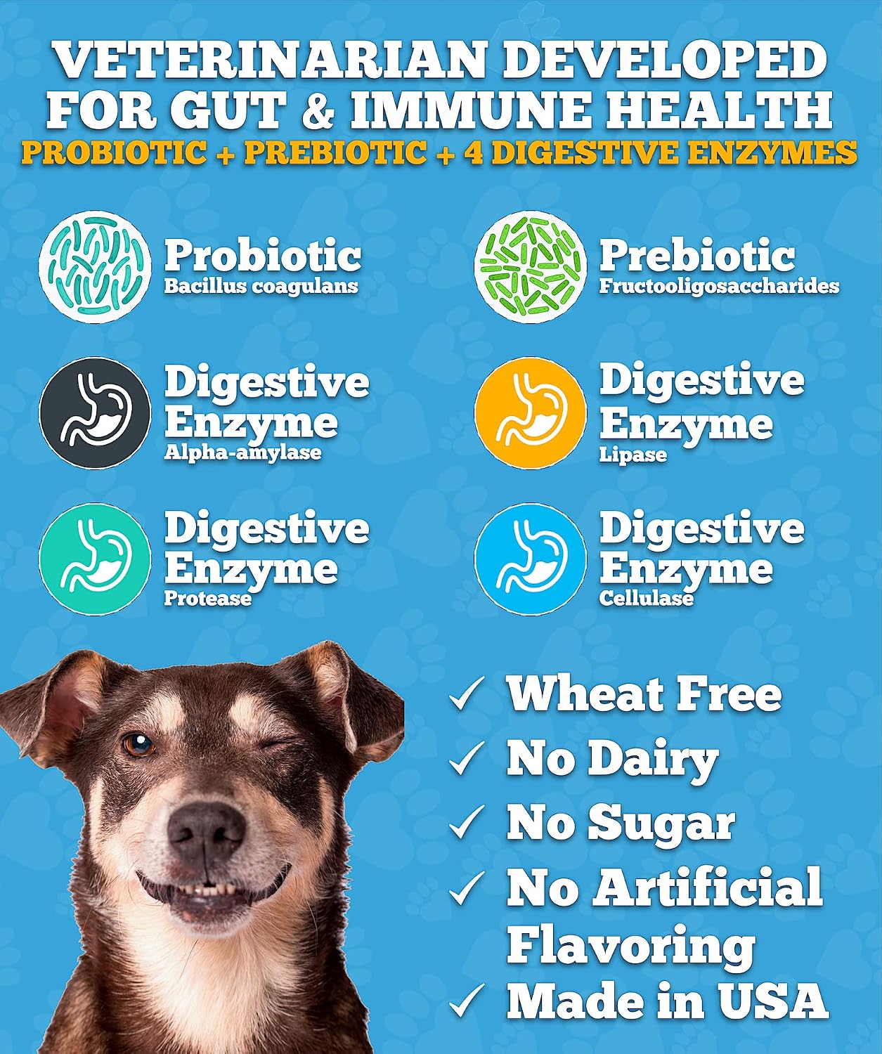 Holistic pet care probiotic chewable bites for treating seasonal skin allergies and itchiness