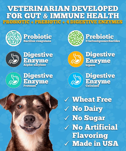 Holistic pet care probiotic chewable bites for treating seasonal skin allergies and itchiness