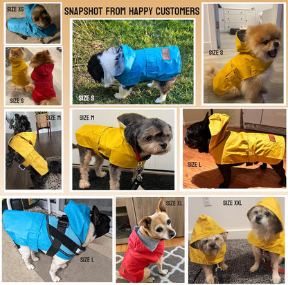 Waterproof slicker jacket for tiny dogs belly strap detail