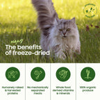 Premium USA imported grain free raw cat food chicken formula