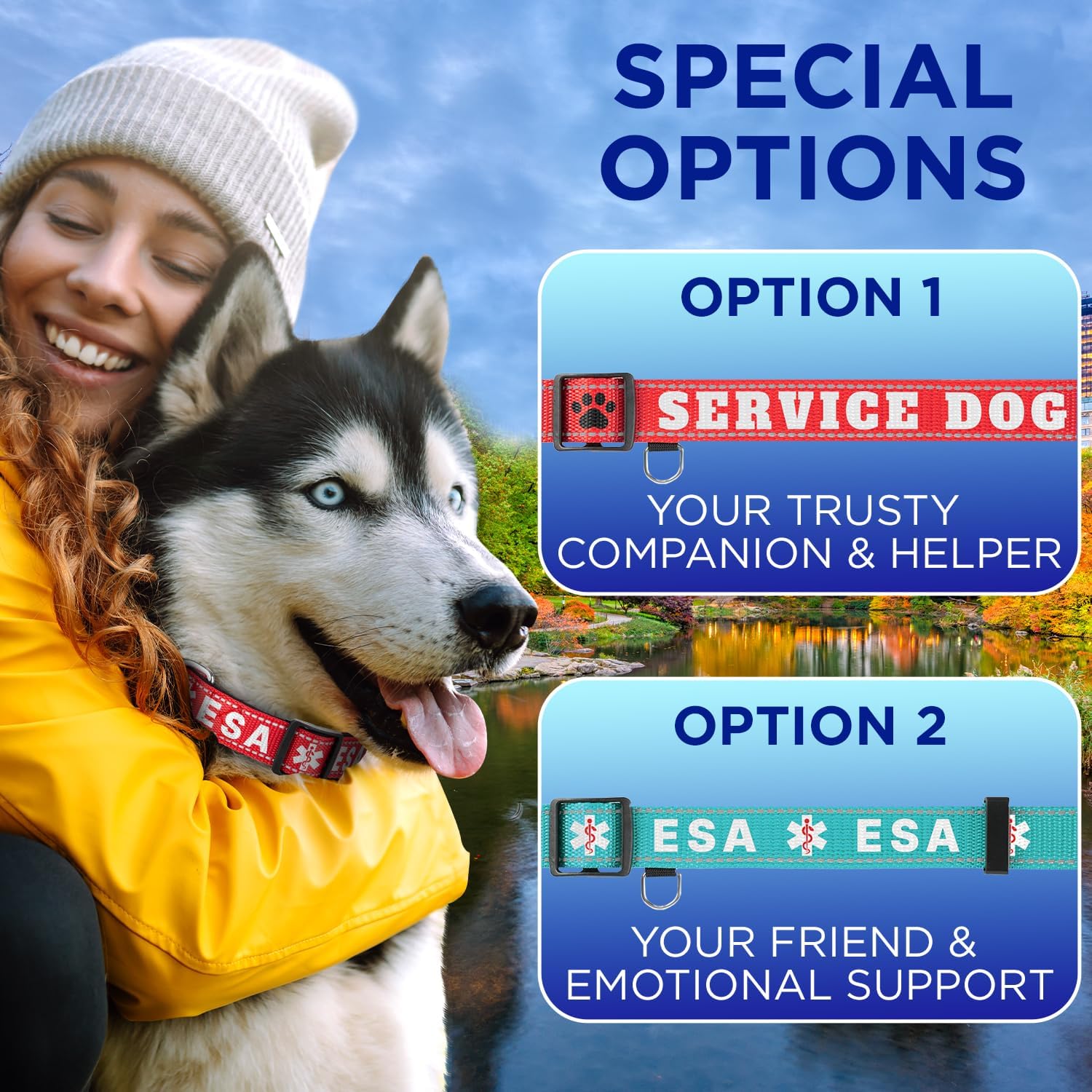 Teceum durable nylon dog collar branding
