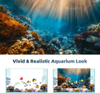 AWERT undersea theme terrarium background packaged pair layout