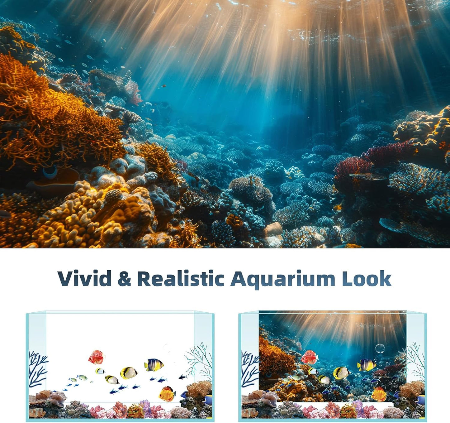 AWERT undersea theme terrarium background packaged pair layout