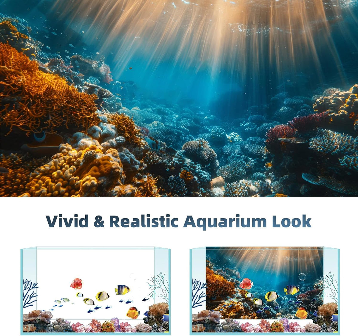 AWERT undersea theme terrarium background packaged pair layout