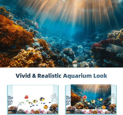 AWERT undersea theme terrarium background packaged pair layout