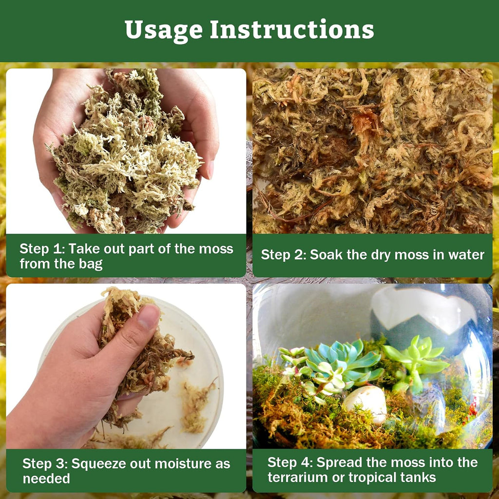 Hydrated and fluffed natural reptile moss