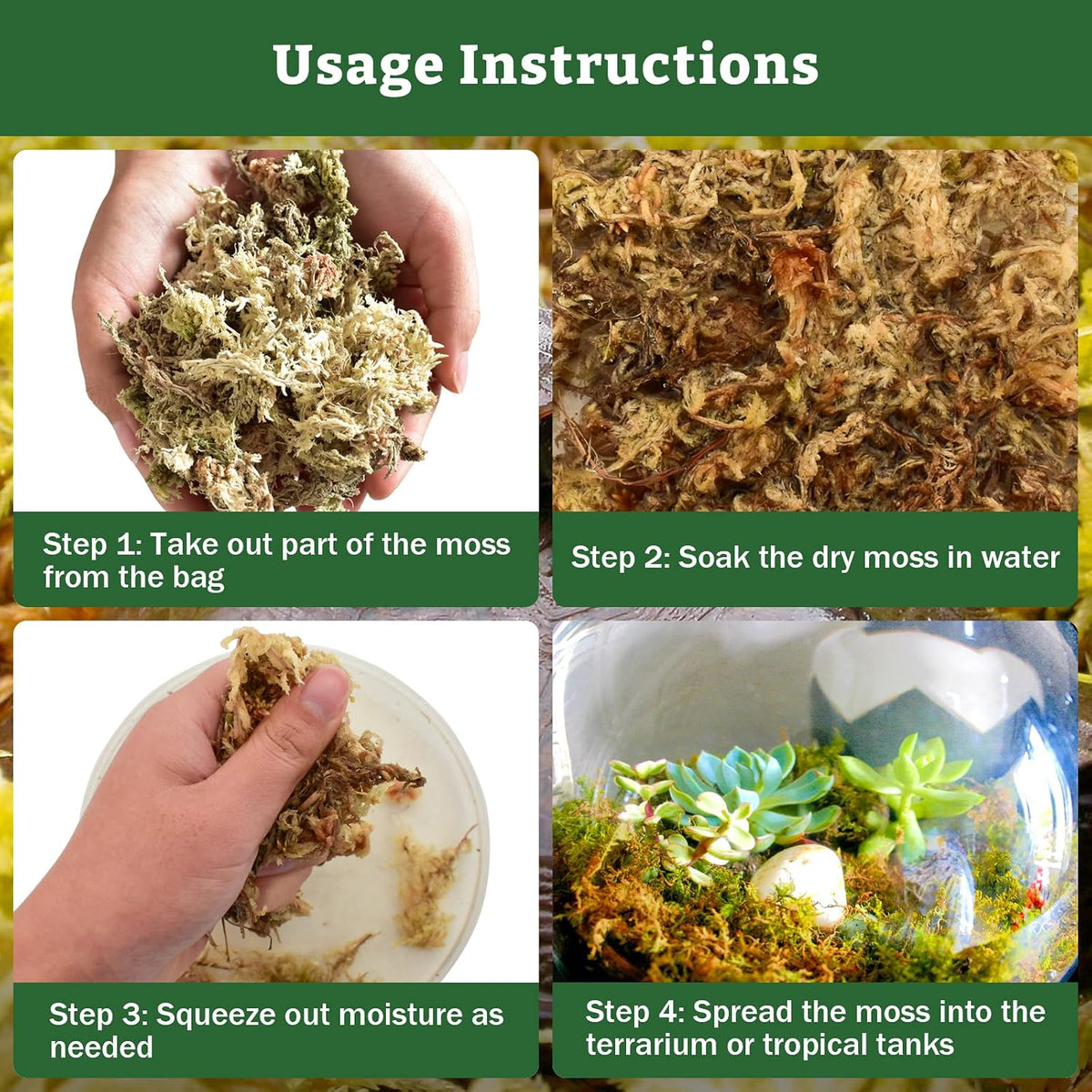 Hydrated and fluffed natural reptile moss