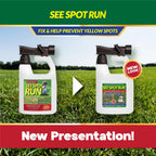 Before and after grass patch repair using all-natural soil amendment microbes