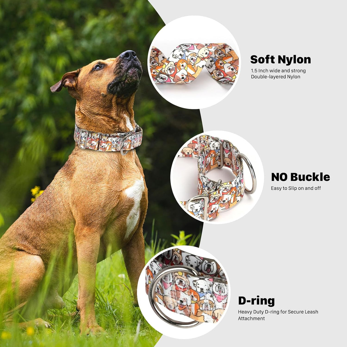 Large dog wearing Maowuwujoz heavy duty training collar