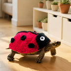 Handmade turtle clothes in Beatles pattern showing adjustable belly straps.