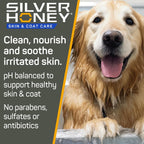 Silver Honey Odor Neutralizer Shampoo sixteen fluid ounce bottle with pump dispenser.