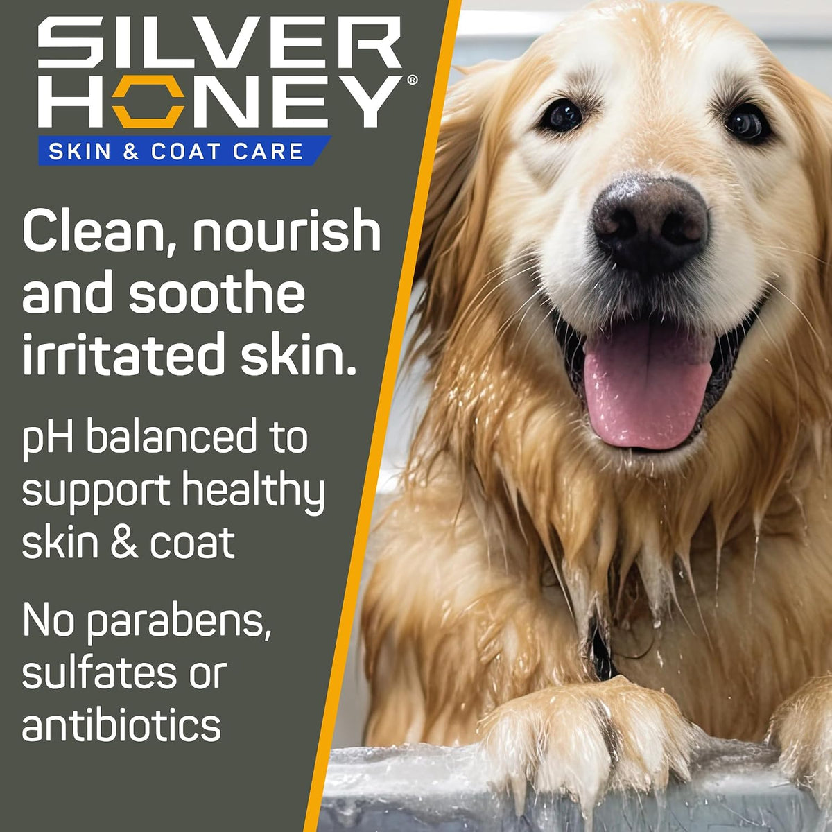 Silver Honey Odor Neutralizer Shampoo sixteen fluid ounce bottle with pump dispenser.