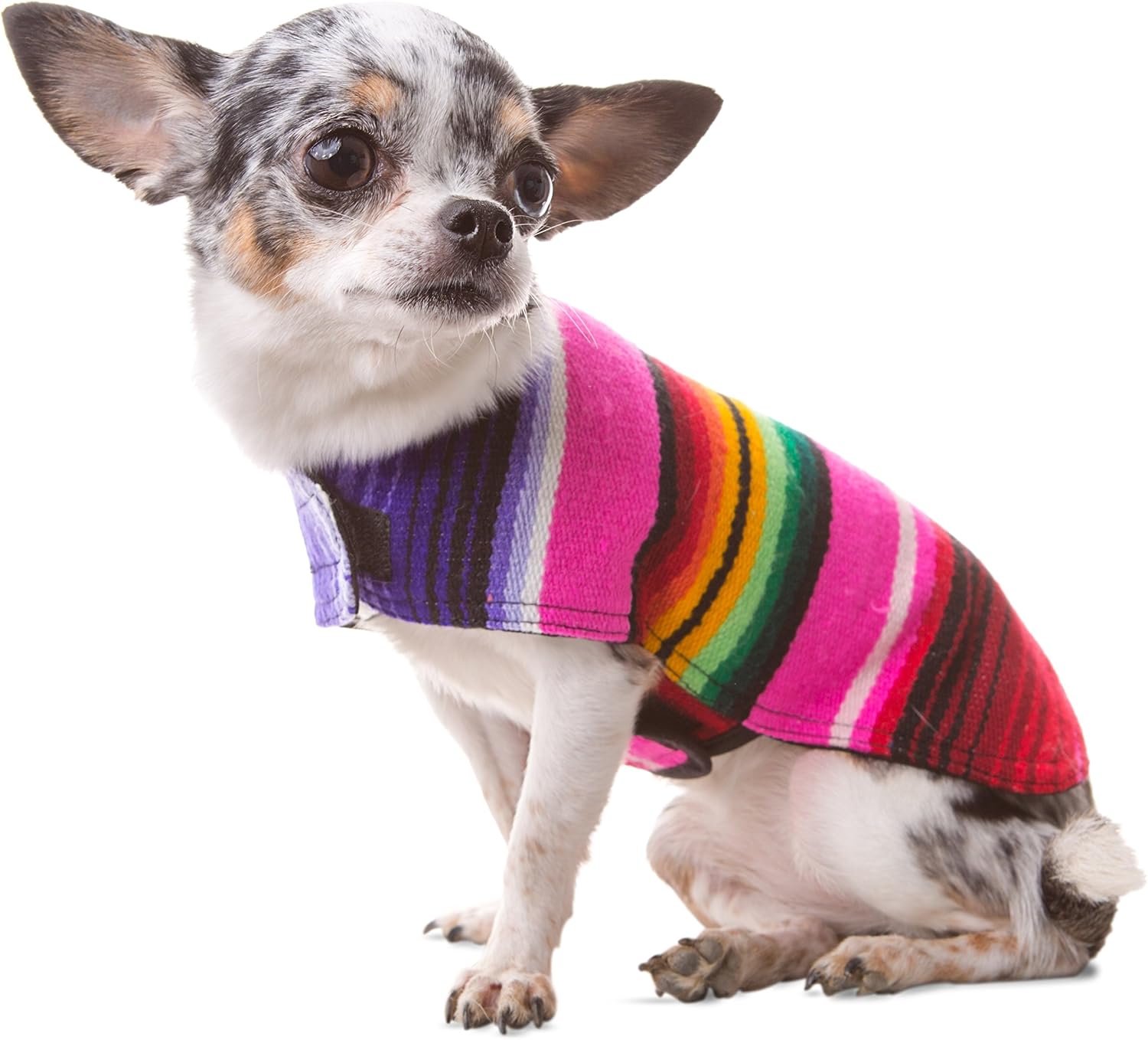 Dog Clothes - Handmade Dog Poncho from Authentic Mexican Blanket by Baja Ponchos (Blue, Small) - Image 11
