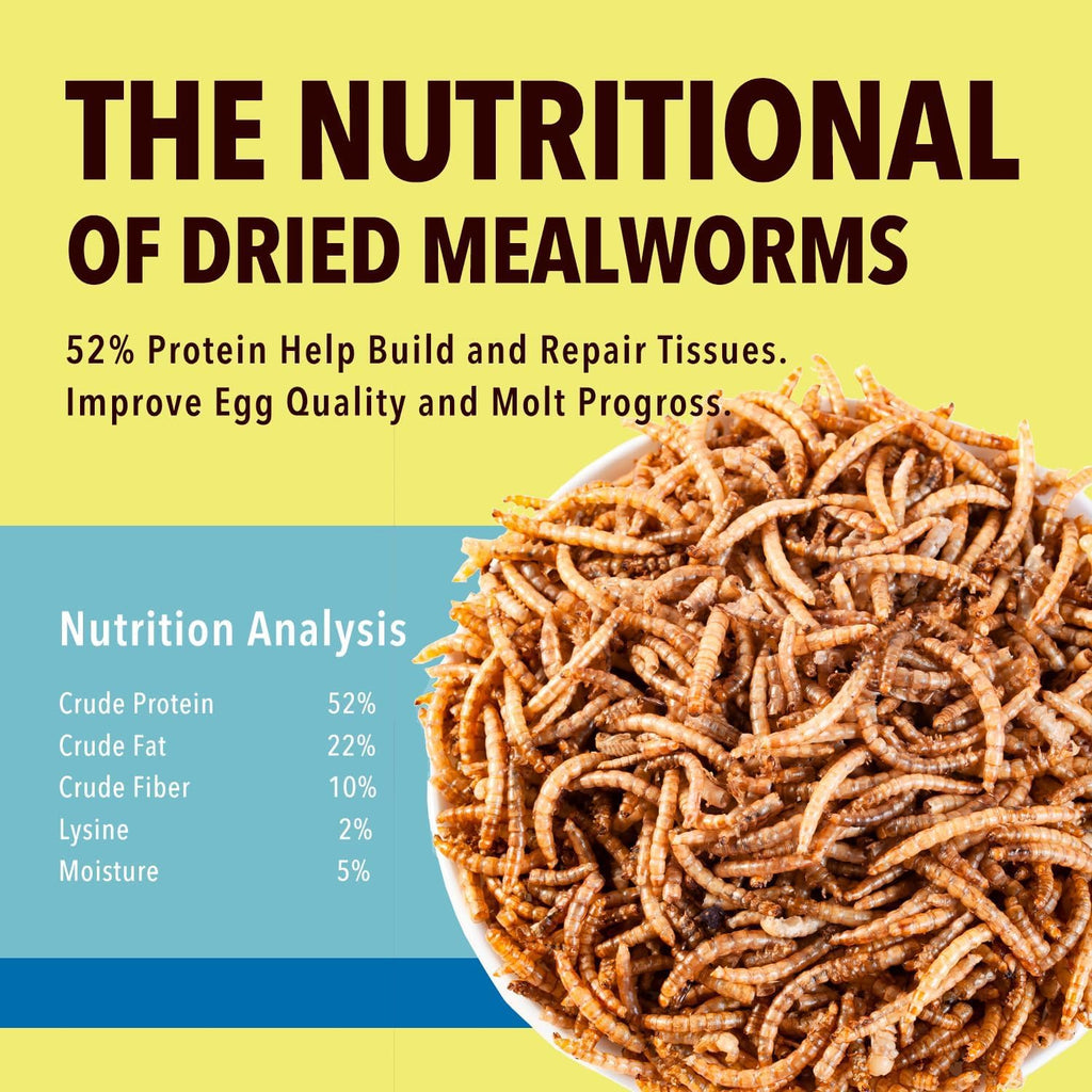 Close up view of natural golden dried mealworms