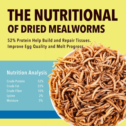 Close up of natural dried mealworms in a scoop