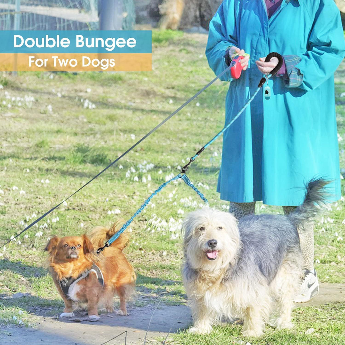 BAAPET dual dog walking accessory kit including the black leash and poop bag dispenser.
