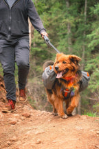 Mountainsmith pet travel bag showing non slip buckle system