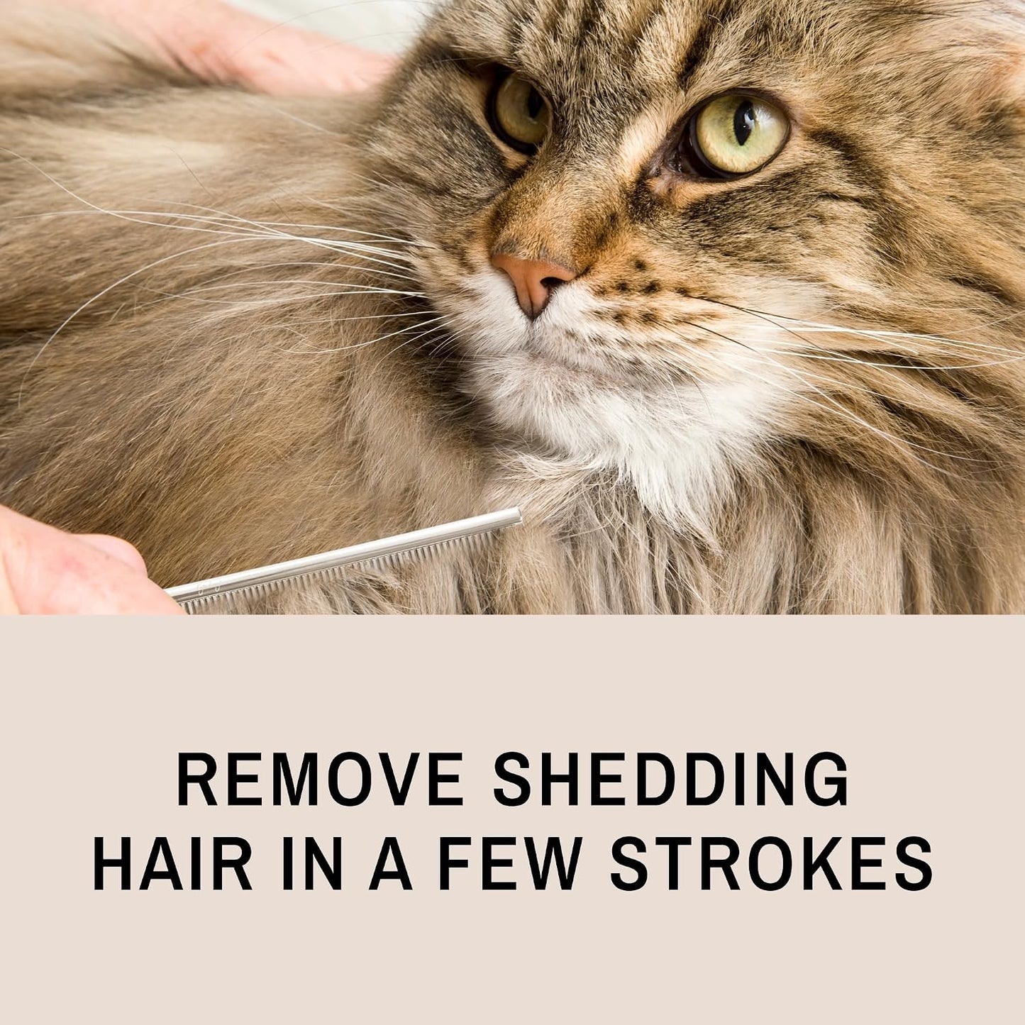 Ergonomic design of Eye Envy cat detangling comb