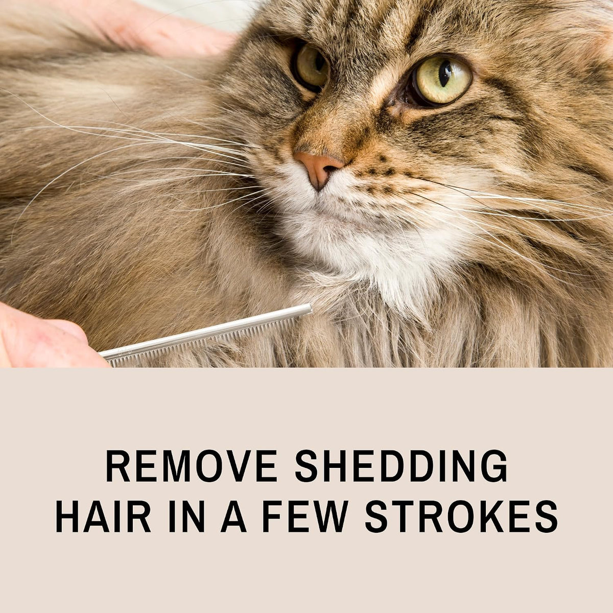 Ergonomic design of Eye Envy cat detangling comb