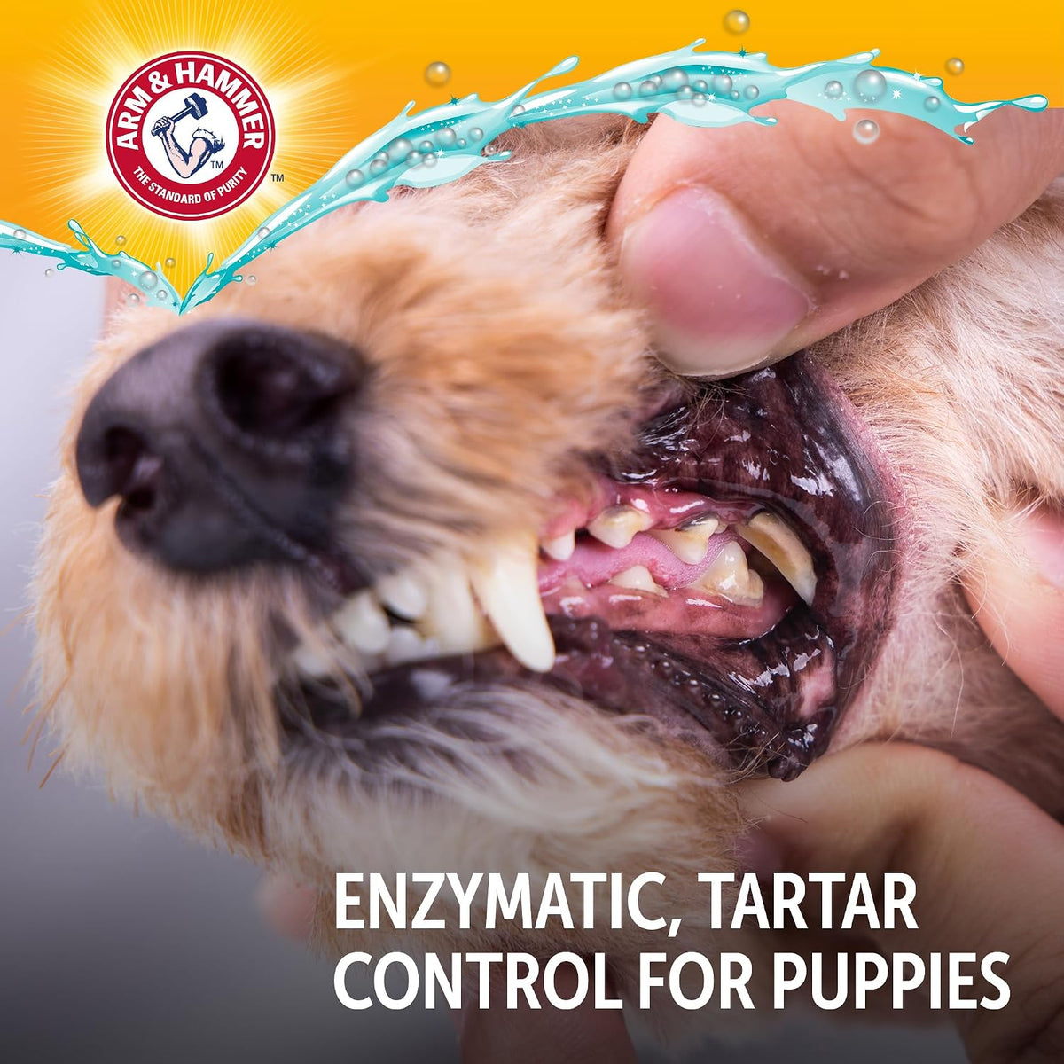 Arm and Hammer dog toothpaste branding and size details