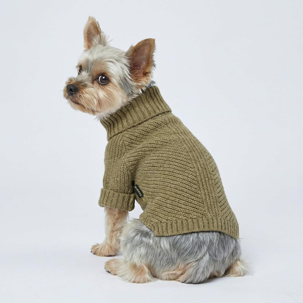 Fitwarm turtleneck puppy pullover jacket on a small breed dog indoors