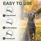 Craveit 8-month protection dog flea collar close up