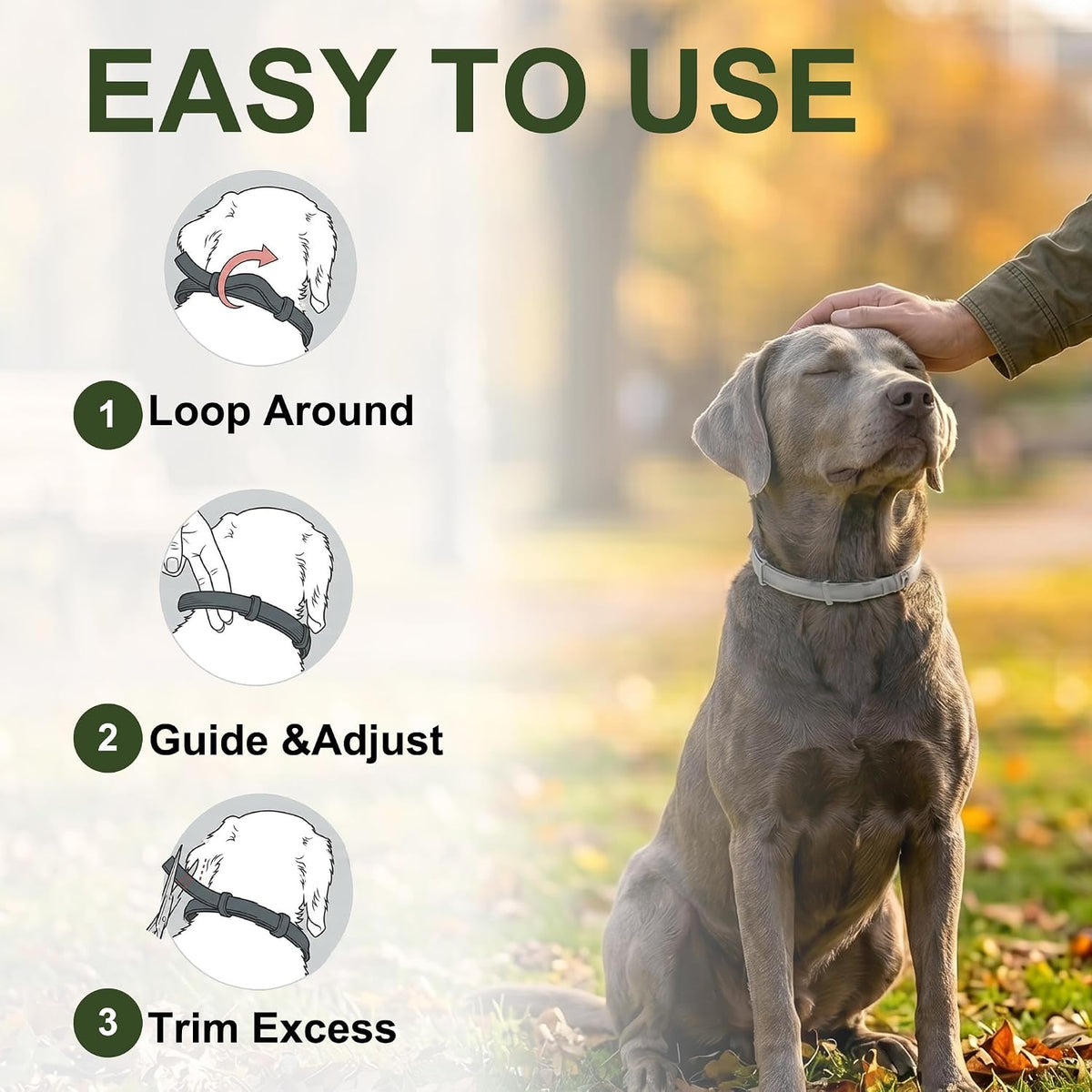 Craveit 8-month protection dog flea collar close up