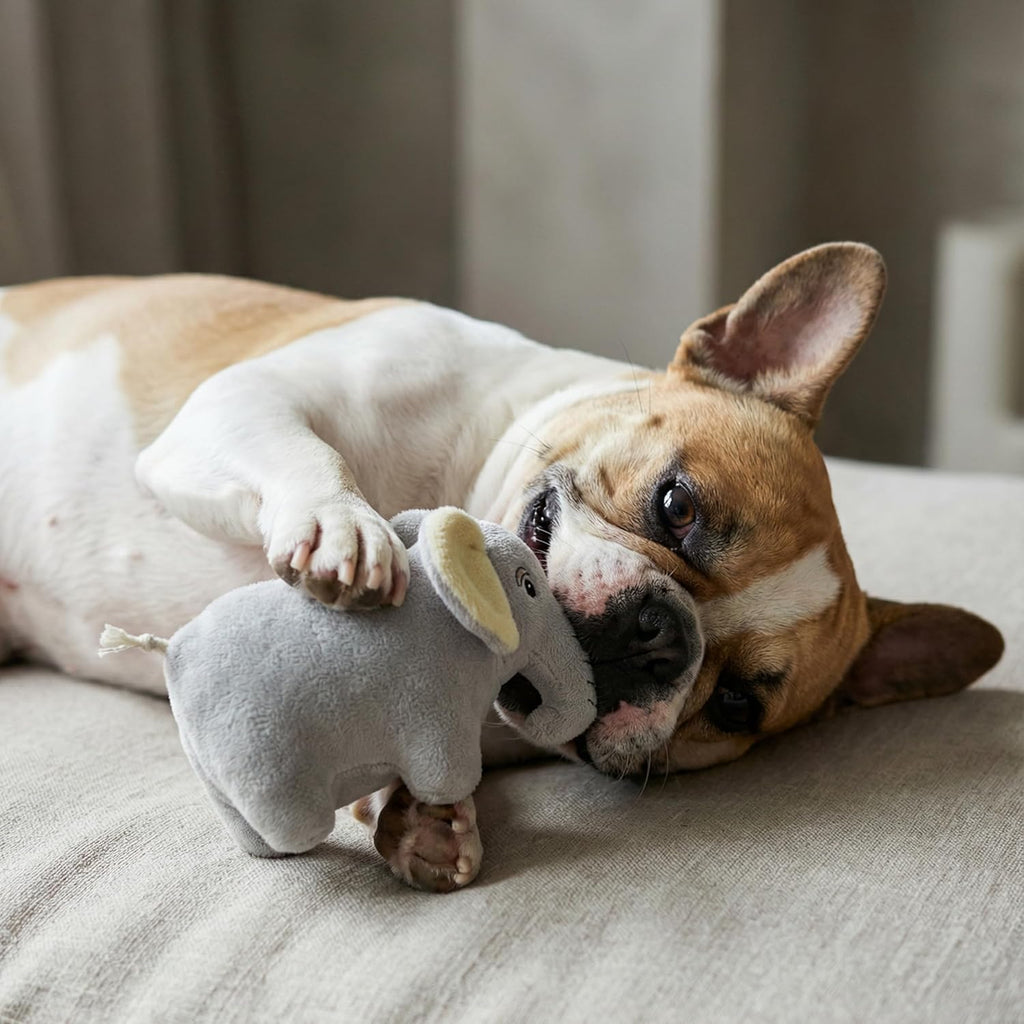 Grrreen recycled plastic plush toy for puppies