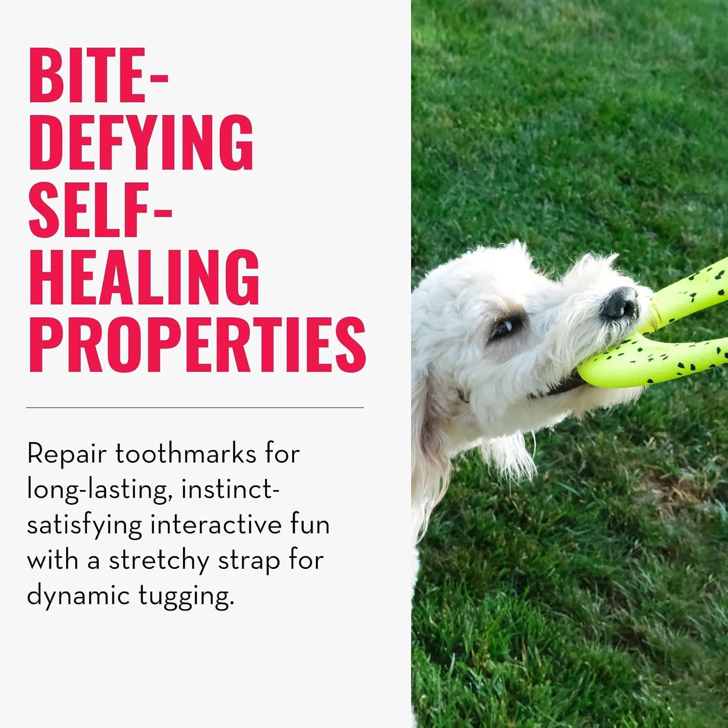 KONG Reflex Flyer dog toy held in hand
