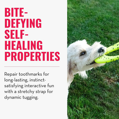 KONG Reflex Flyer dog toy held in hand