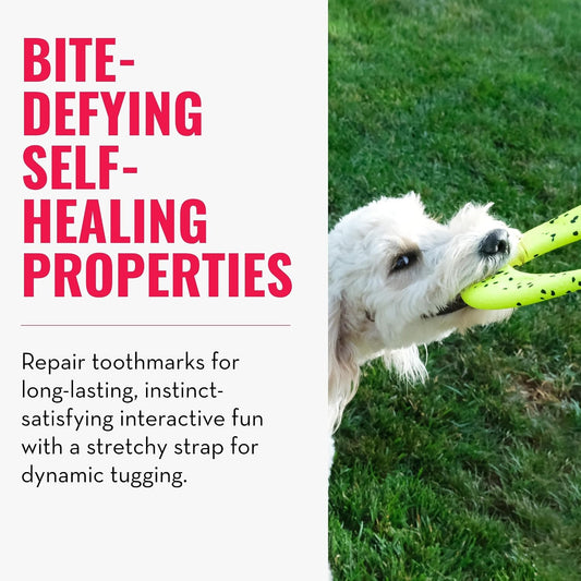 KONG Reflex Flyer dog toy held in hand