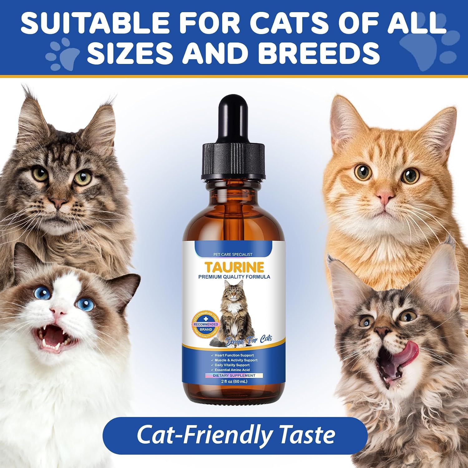Veterinarian recommended liquid taurine drops for healthy cat eyesight