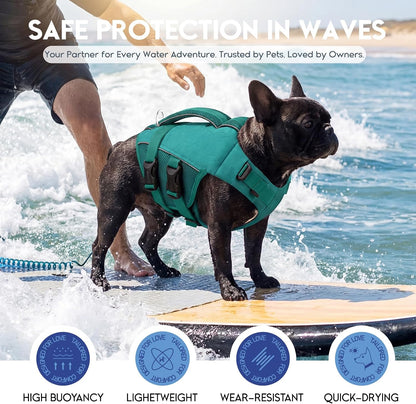 Asenku pet safety swimsuit top view showing heavy duty rescue handle
