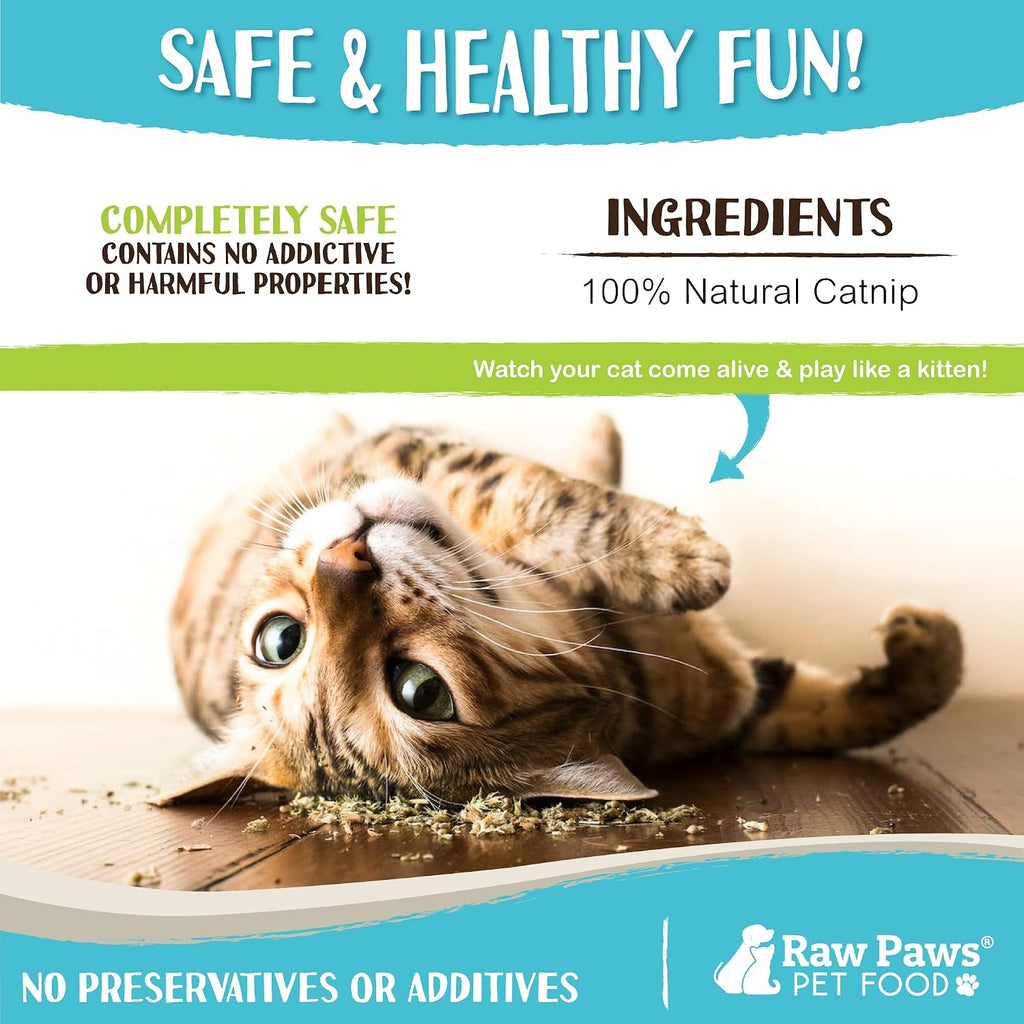 Premium imported catnip mix sprinkled on a cat scratching post