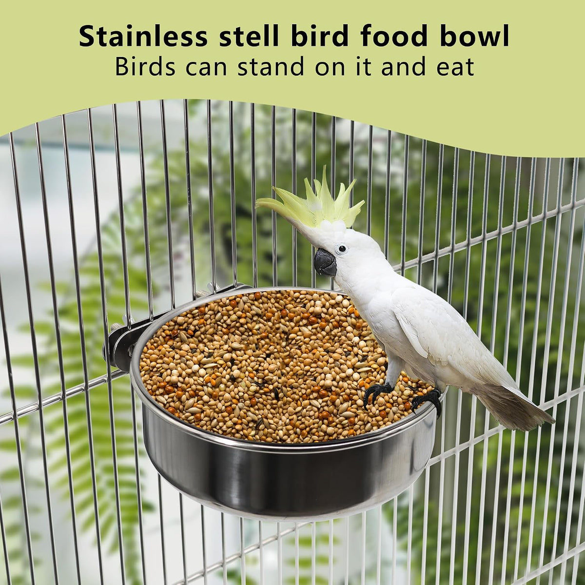 Bird Feeding Dish Cups, Stainless Steel, 2 Pack, Small - Image 5