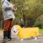 Underbelly protection coverage design of a pet monsoon slicker poncho.