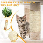 Close up of 5 millimeter natural sisal twine texture for cat trees