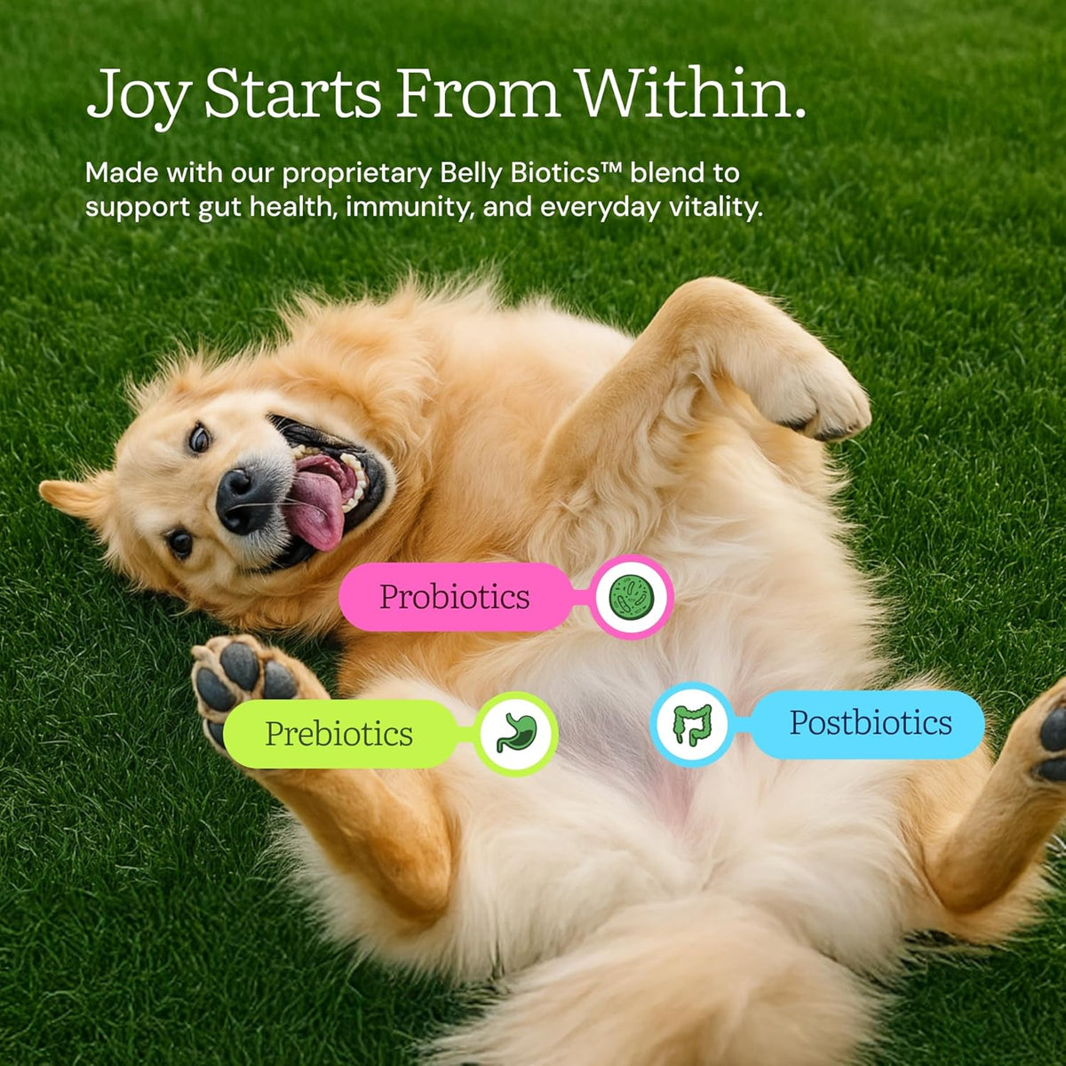 Get Joy high protein grain free raw beef meal mixer packaging details