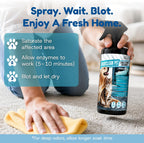 Natural bacteria pet odor neutralizer lifestyle image on household rug