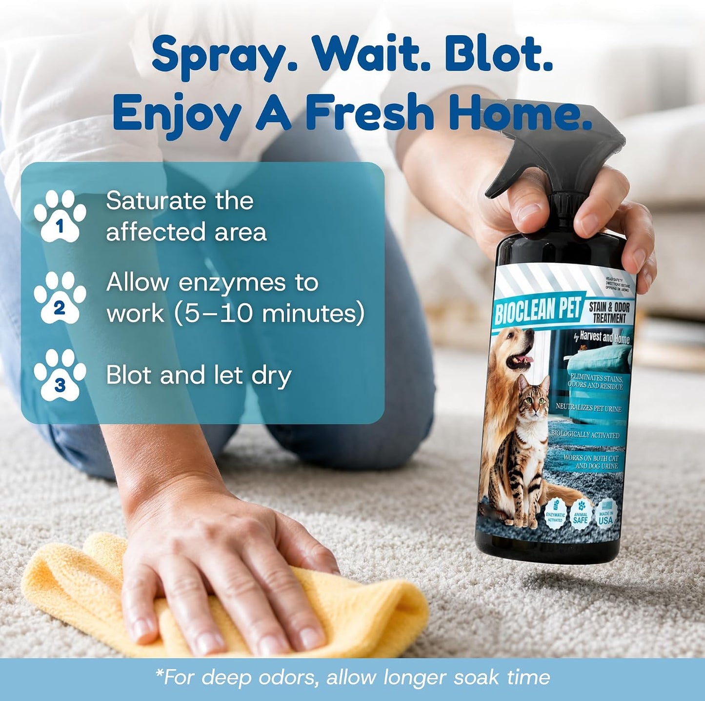 Natural bacteria pet odor neutralizer lifestyle image on household rug