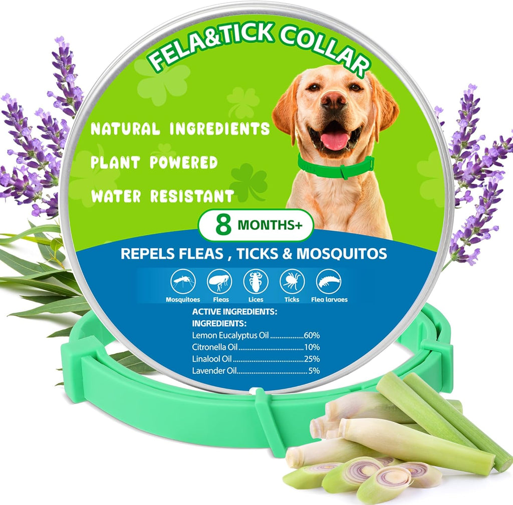 Monipgu natural flea and tick dog collar 2-pack front view