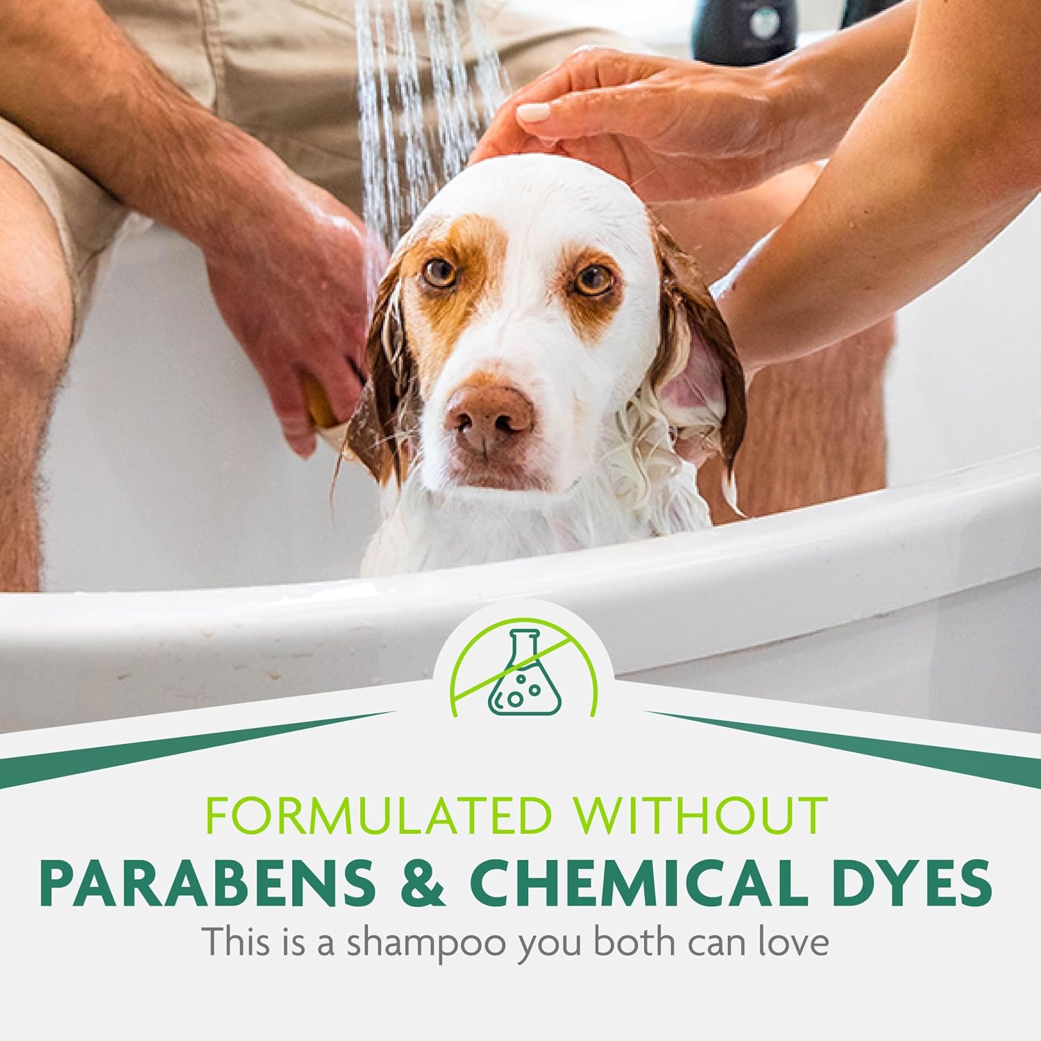 Dog being groomed with FURminator deshedding shampoo