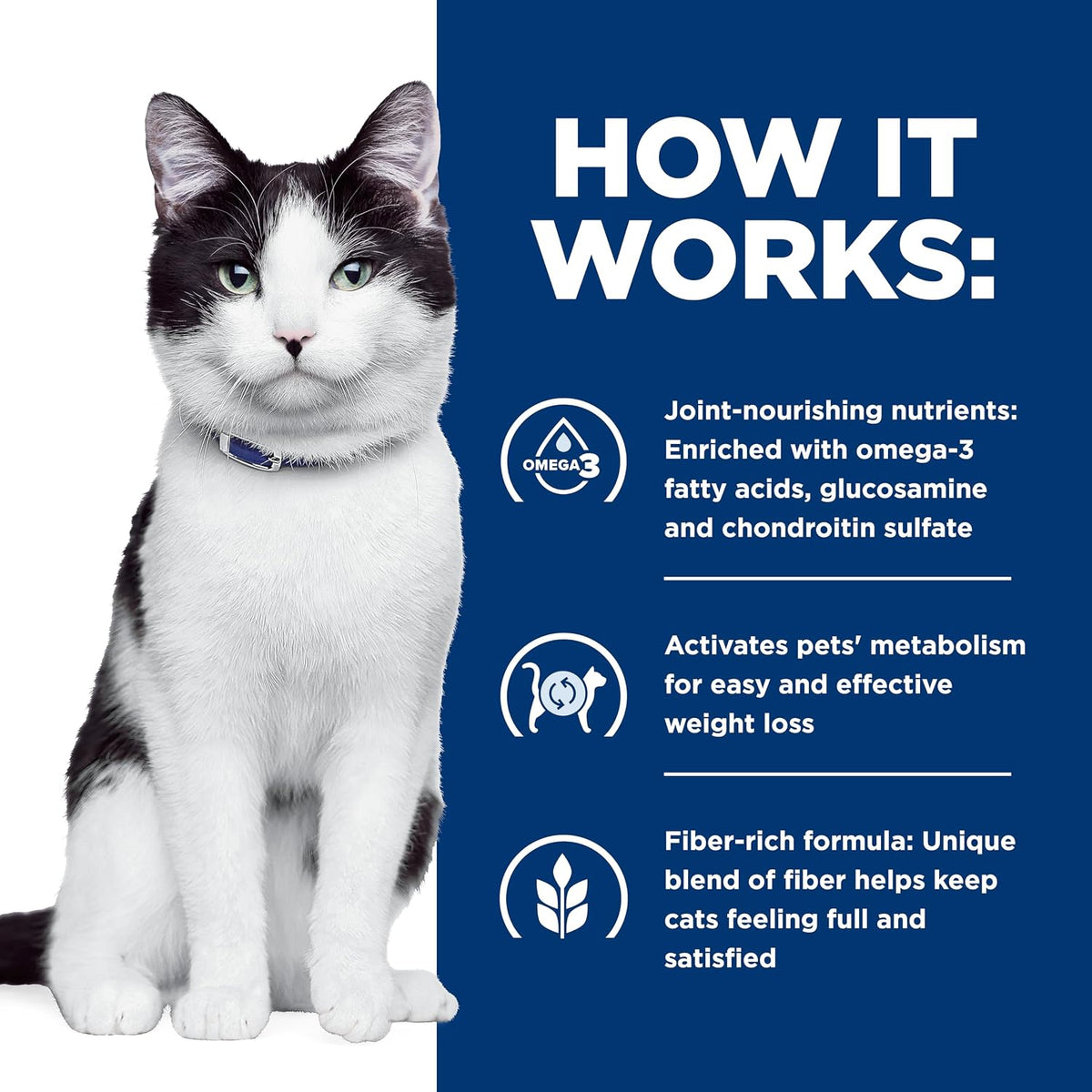 Hills Prescription Diet feline metabolic weight plus jd joint care kibble size view