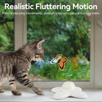 All For Paws cat toy in action during indoor play