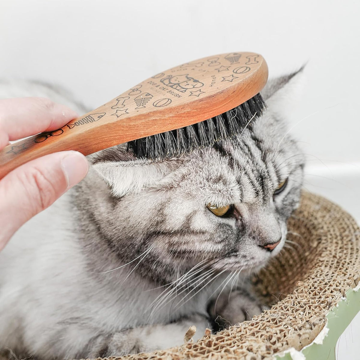 Ergonomic wooden handle pet brush for sensitive skin cats and small dogs