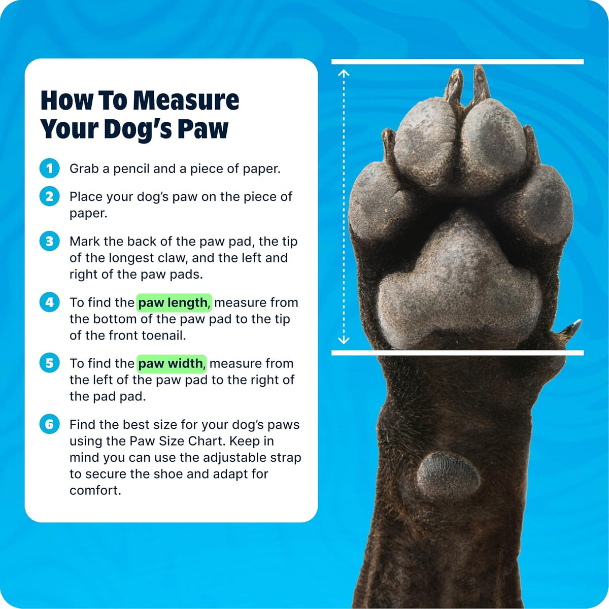 Barkbox dog shoes showing adjustable hook and loop strap detail