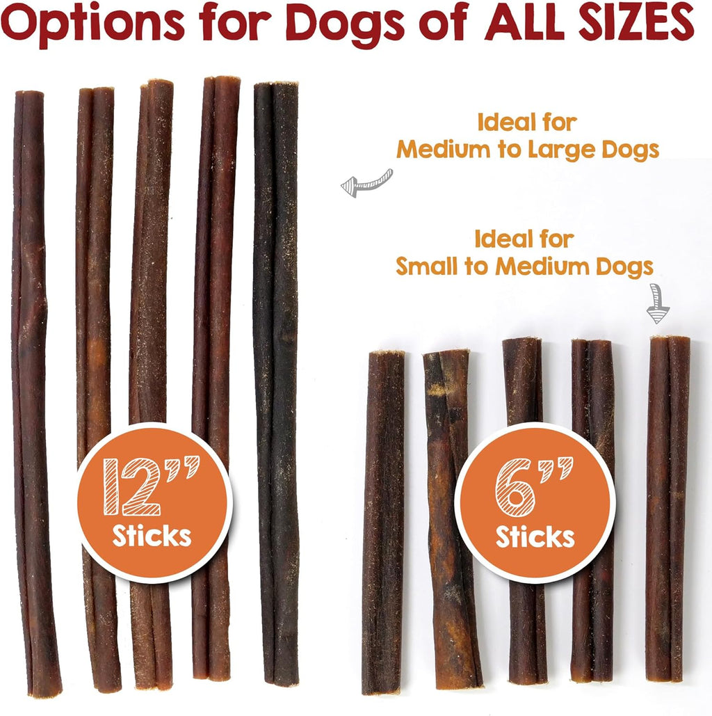 Dog chewing on Rileys collagen stick showing durability