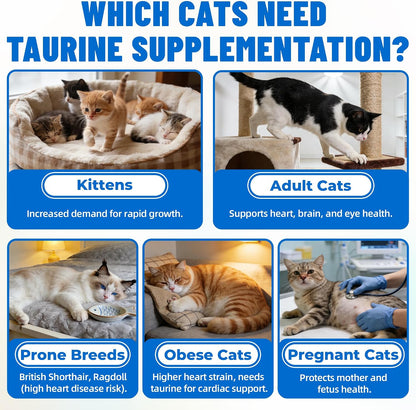 Just Try cat multivitamin bites with L-Carnitine and Omega-3.