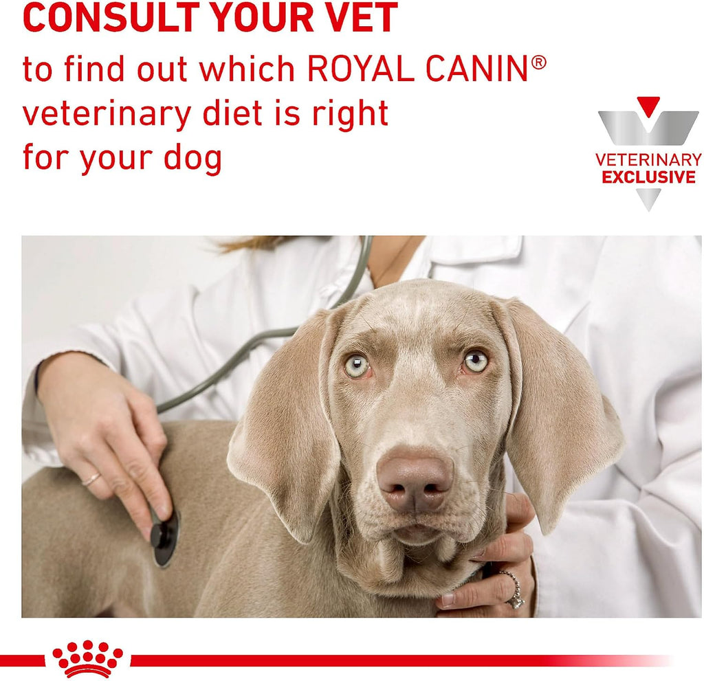 Royal Canin Veterinary Diet Canine Renal Support F Adult Dry Dog Food, 6 lb Bag - Image 12