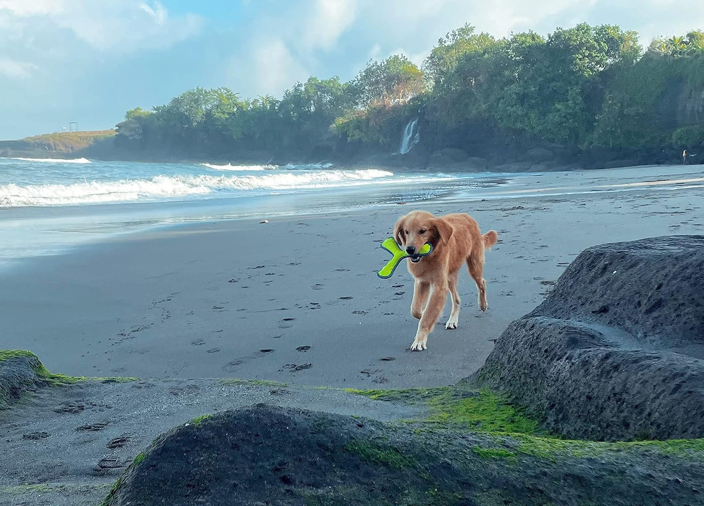 High visibility Tuff Pupper dog water toy for fetch